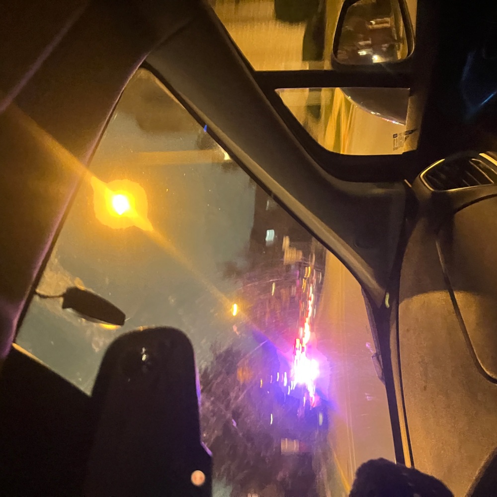 Meet your Posher, Daisy